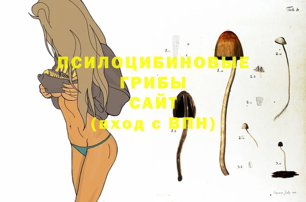 стафф Аркадак