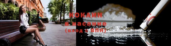 стафф Аркадак