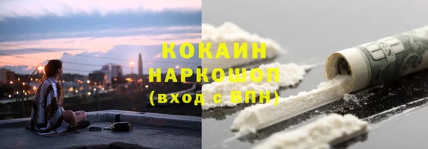 стафф Аркадак