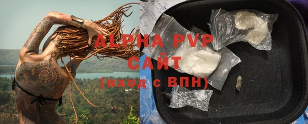 стафф Аркадак